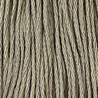 Gray Juniper
