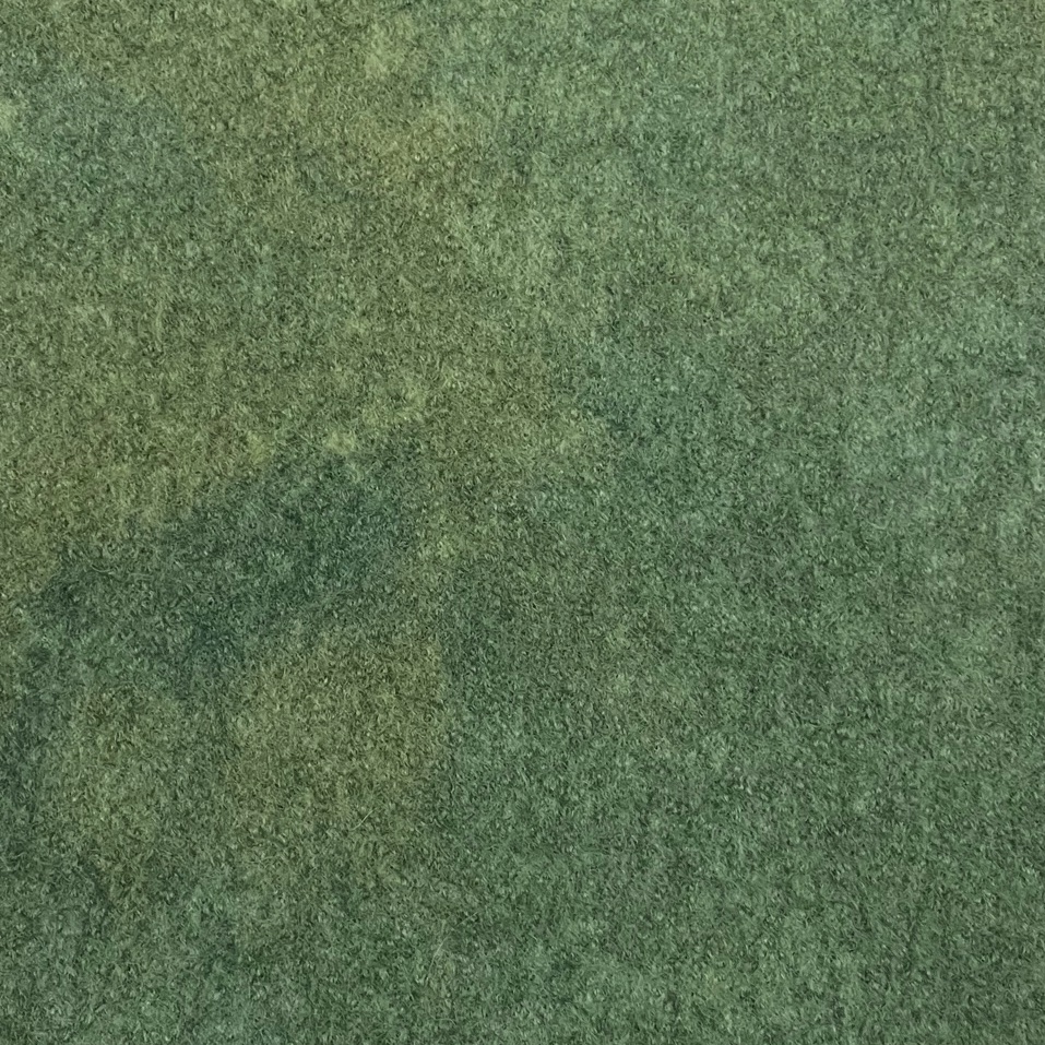 Moss (Heavier Wool)