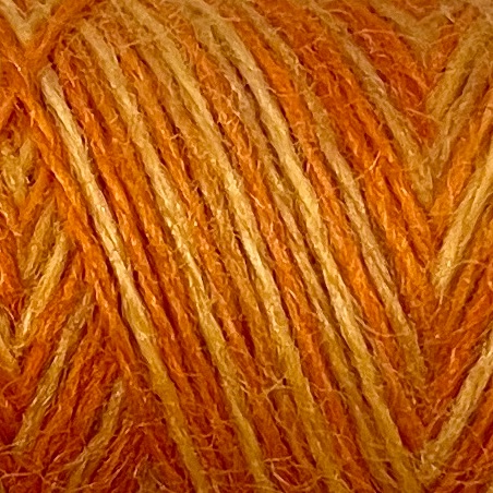 Love of Life - Beautiful Oranges