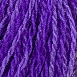 Clematis Purples